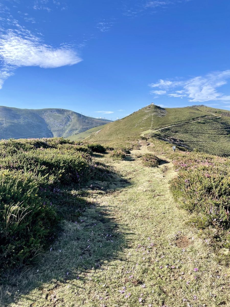 Ścieżka przez zielone wzgórza Camino Primitivo - błękitne niebo